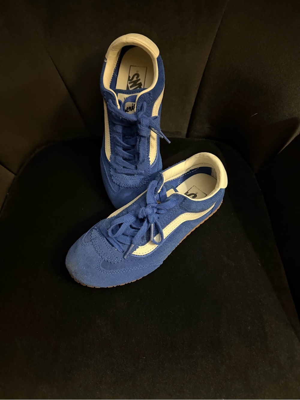 Vans Women's Blue Suede Sneakers with White Side Stripe